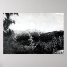 Kenai Peninsula Alaska Southern Coast Poster
