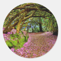 Kenmare Fairy Road Stickers