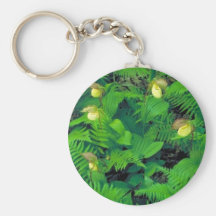 Kentucky lady's slipper key chains