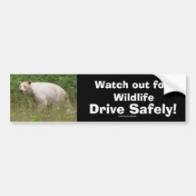 Kermode Spirit Bear Bumpersticker Bumper Sticker