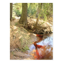 Kettle River Post Cards