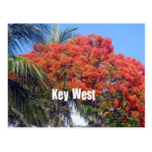 Key West Postcards