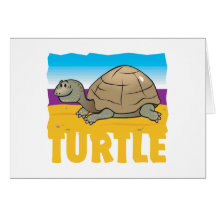 Kid Friendly Turtle Cards