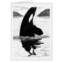Killer Whale, Pen and Ink Card