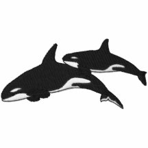 Killer Whales Embroidered Hoody