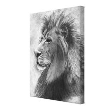 King of the Jungle, Hand drawn Lion in Graphite Canvas Print