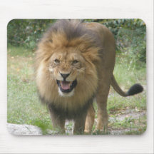 King of the Jungle Mouse Pads