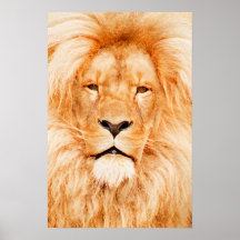 KING OF THE JUNGLE POSTERS