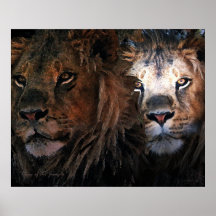 King of the Jungle Print