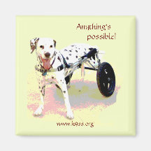 KISS Foundation ~ Magnet