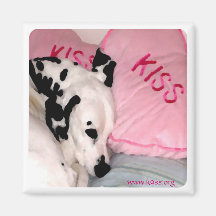 KISS Foundation ~ Magnet