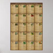 Kitchen Medicinals Poster