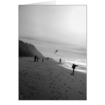 Kites on Beach Greeting Cards