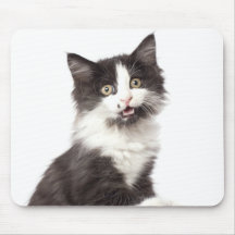 kitten meows mouse pads