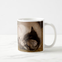 Kitten Mug 1