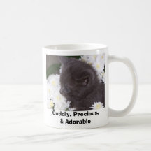 Kitten Mugs