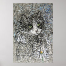 kitten pastel poster