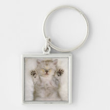 Kitten Sleeping on a White Fluffy Carpet, High Key Chain