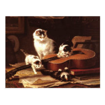 Kittens and Guitar Post Cards