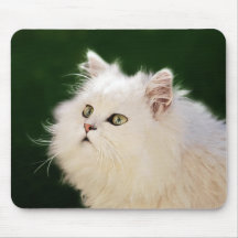 Kittens fascination mouse pad