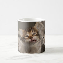 Kittens Mug 3 the Vampire