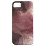 Kitty Cat iPhone 5 Cases