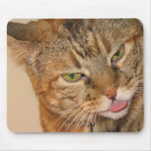 kitty cat kisses mouse pads
