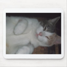 Kitty Cat Mischief Mousepads