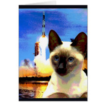 “Kitty Goes to Cape Canaveral” Greeting Cards