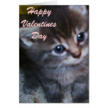 KITTY,HAPPY VALENTINES DAY card