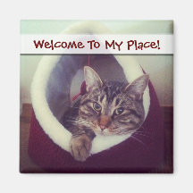 Kitty Hut Close Up Photograph Refrigerator Magnets