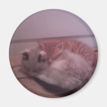 kitty love fridge magnets