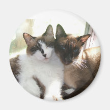 Kitty Love Magnet