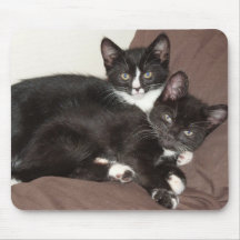 Kitty Love Mouse Pads