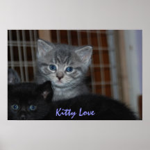 Kitty Love Posters