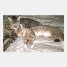Kitty Love Sticker