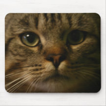 Kitty Mousepads