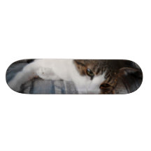 Kitty Skateboard
