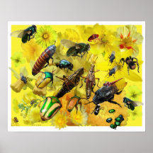 KIW Sparks: Be Nice, Bugs! Poster