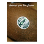 kiwi fruit postcard