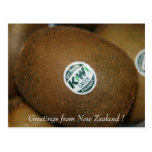 kiwi post cards