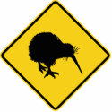 Kiwi Warning photo sculptures
