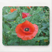 Klatschmohn Mauspad