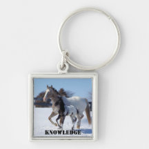 knowledge key chain