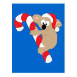 Koala Bear Candy Cane Post Card