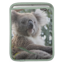 Koala Bear Facts iPad Sleeve