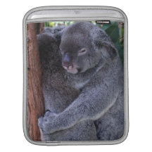 Koala Family iPad Sleeve