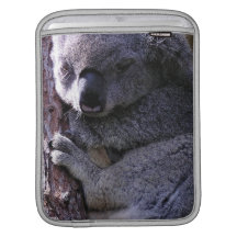 Koala in Tree iPad Sleeve