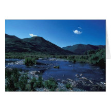 Kodiak Stream and Mountains in Summer Cards