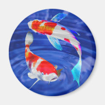Kohaku Duo in Deep Blue Pond Refrigerator Magnets